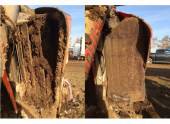 177759SL233