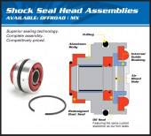 shock_head2.jpg